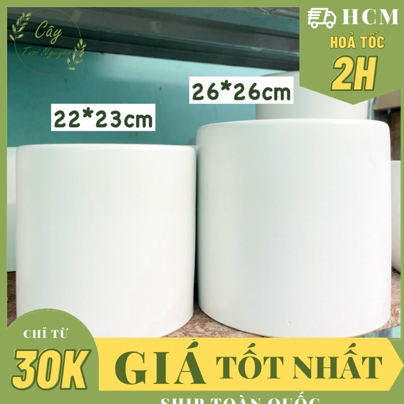 [CHỈ GIAO HOẢ TỐC] CHẬU TRỤ TRÁNG MEN TRẮNG Size 22CM, 26CM (1 chậu), tráng men, chậu cây trong nhà đẹp, Cây Tươi Nguyên