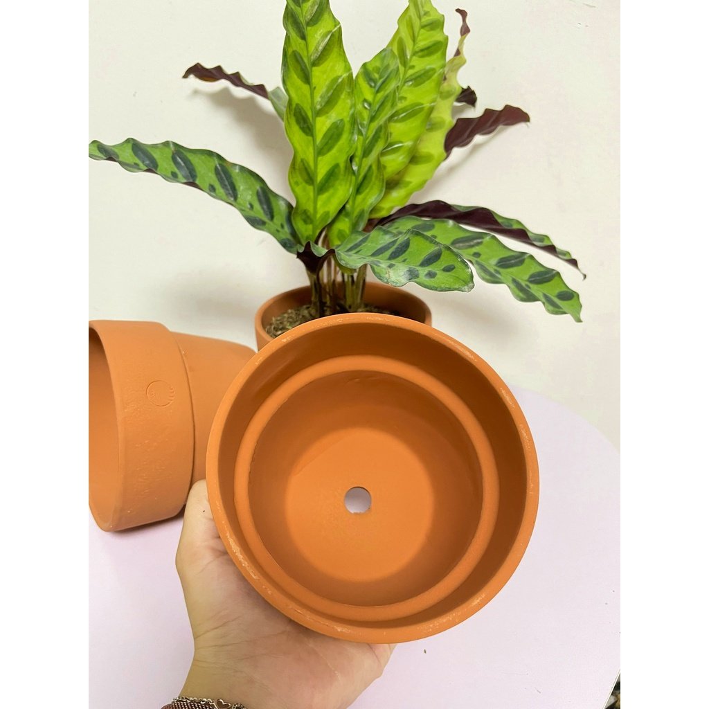 CHẬU ĐẤT NUNG TRÒN GỜ LỚN ENVIE (14*12cm) hàng Xuất khẩu, (1 chậu), chậu trồng cây, trang trí nội thất, Cây Tươi Nguyên 3