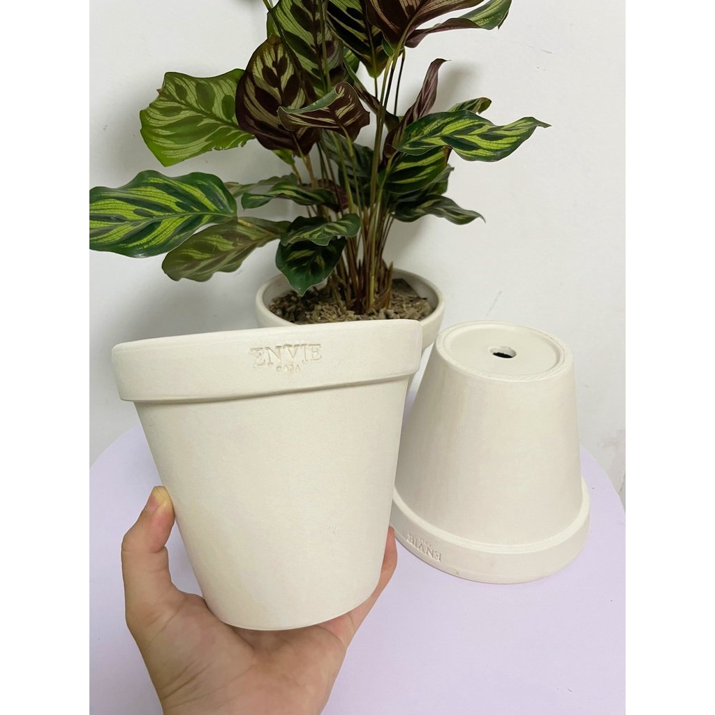 CHẬU ĐẤT NUNG TRẮNG LY GỜ NHỎ ENVIE (14.5*12.5cm) hàng Xuất khẩu, (1 chậu), trồng cây, trang trí nội thất, Cây Tươi Nguy 3