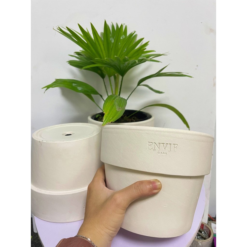 CHẬU ĐẤT NUNG TRẮNG TRÒN GỜ LỚN ENVIE (18*14cm) hàng Xuất khẩu, (1 chậu), trồng cây, trang trí nội thất, Cây Tươi Nguyên 3
