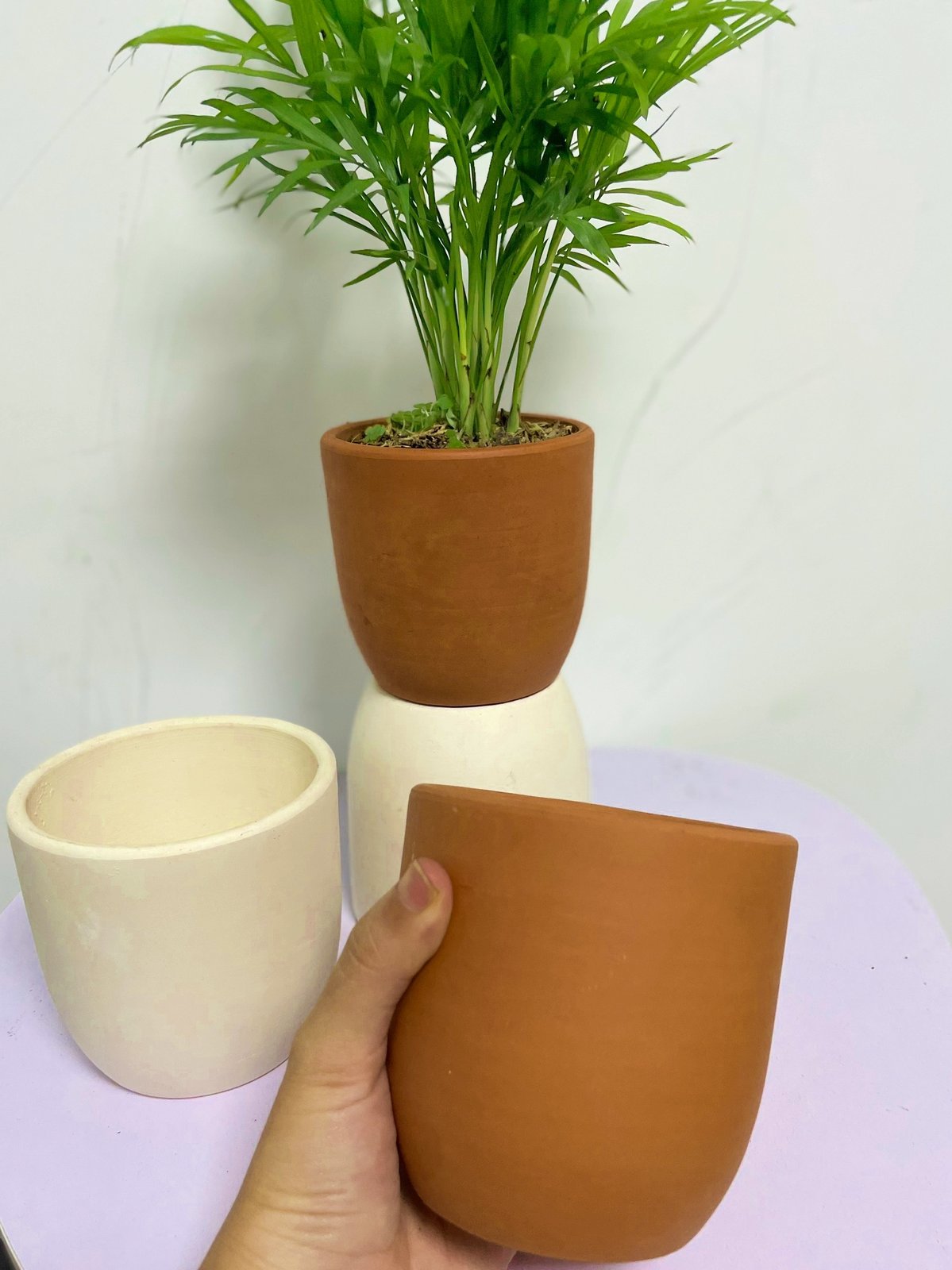 CHẬU TRỨNG ĐẤT NUNG Size S (10*10cm) (1 chậu), gốm đất nung, chậu cây mini, sen đá, xương rồng Cây Tươi Nguyên CTN0970 3