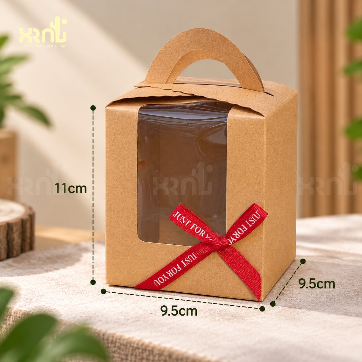 Tiểu cảnh xương rồng để bàn, dễ chăm | XR02 2