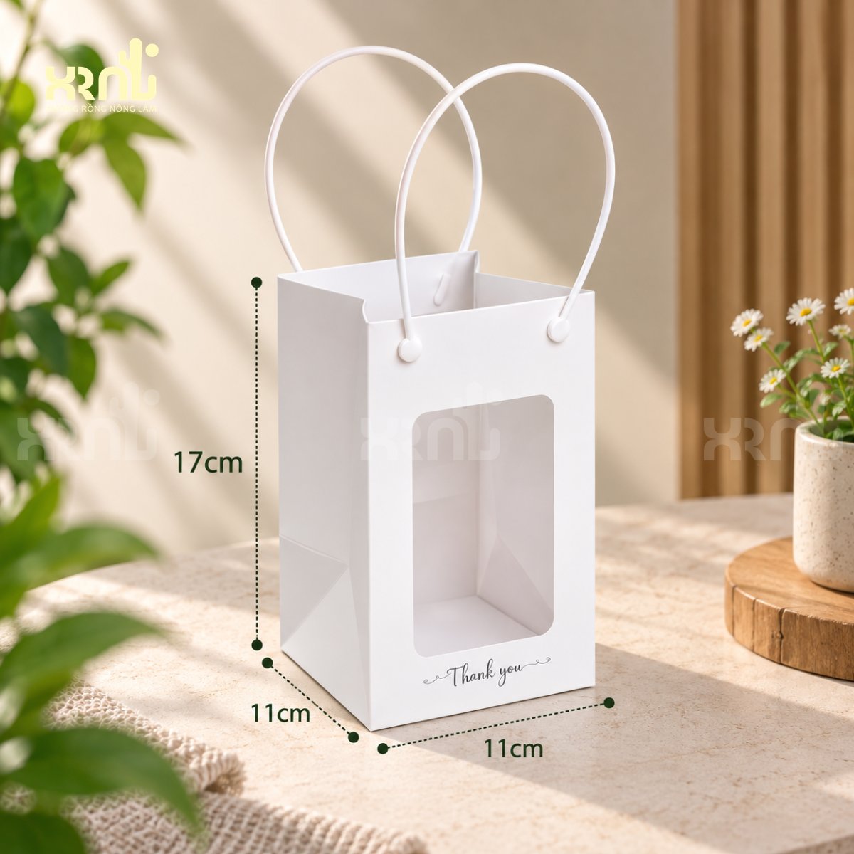 Tiểu cảnh sen đá xương rồng chậu hồng nhẹ nhàng | TC30 2