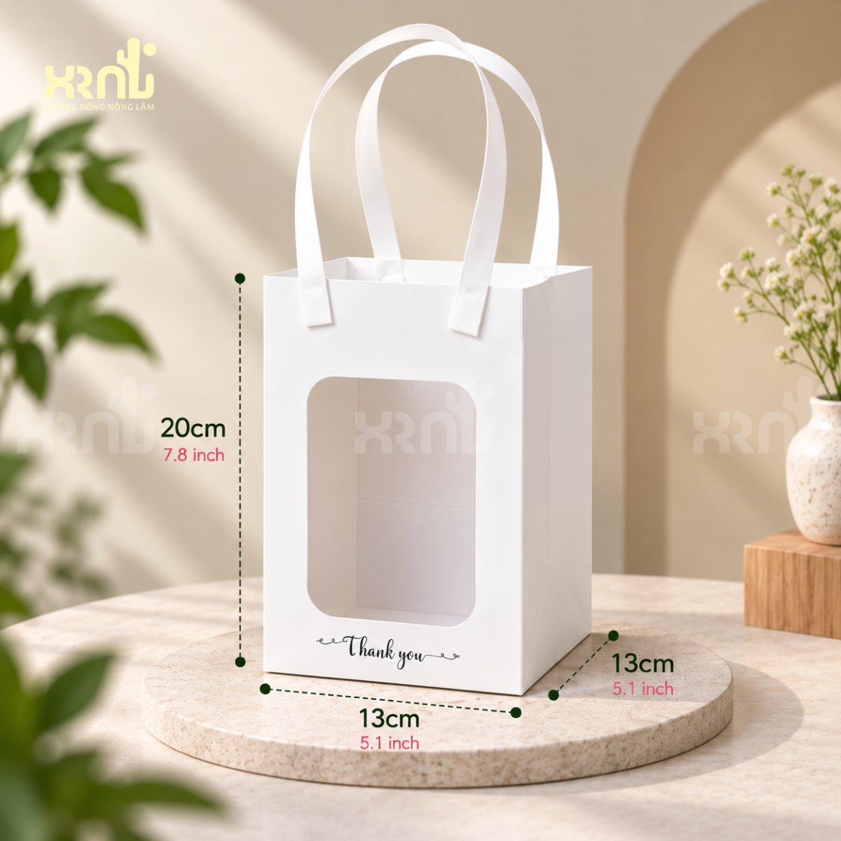 Tiểu cảnh sen đá chú vịt vàng (cao) | TC28 2