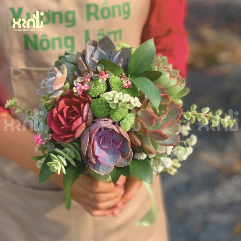 Bó hoa sen đá mix nhiều loại vintage | GH02