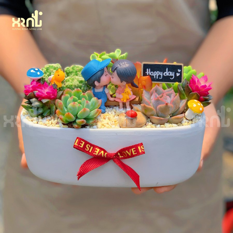Tiểu cảnh sen đá mix em bé ngồi đáng yêu | TC26
