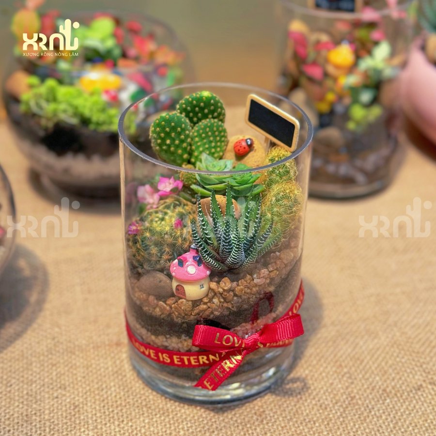 Tiểu cảnh sen đá mix chậu thuỷ tinh tròn ấn tượng | TC16 2