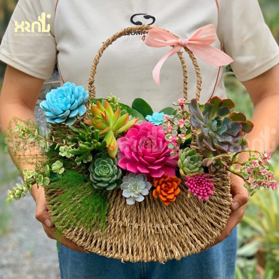 Giỏ hoa sen đá mix nhiều loại dễ thương | GH01 3