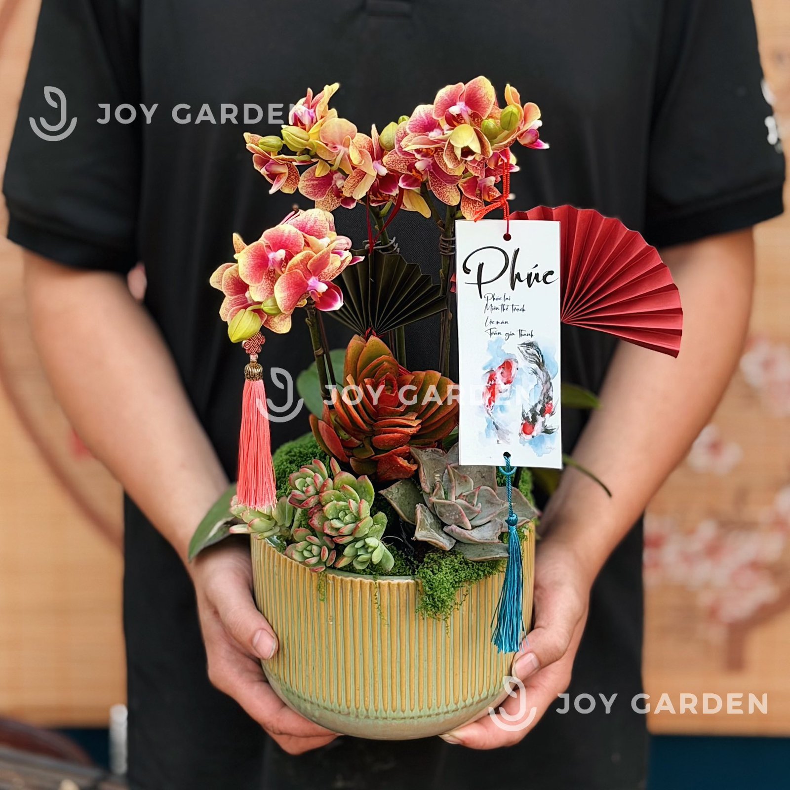 Lan hồ điệp - Cam Salmon [Chậu CT]