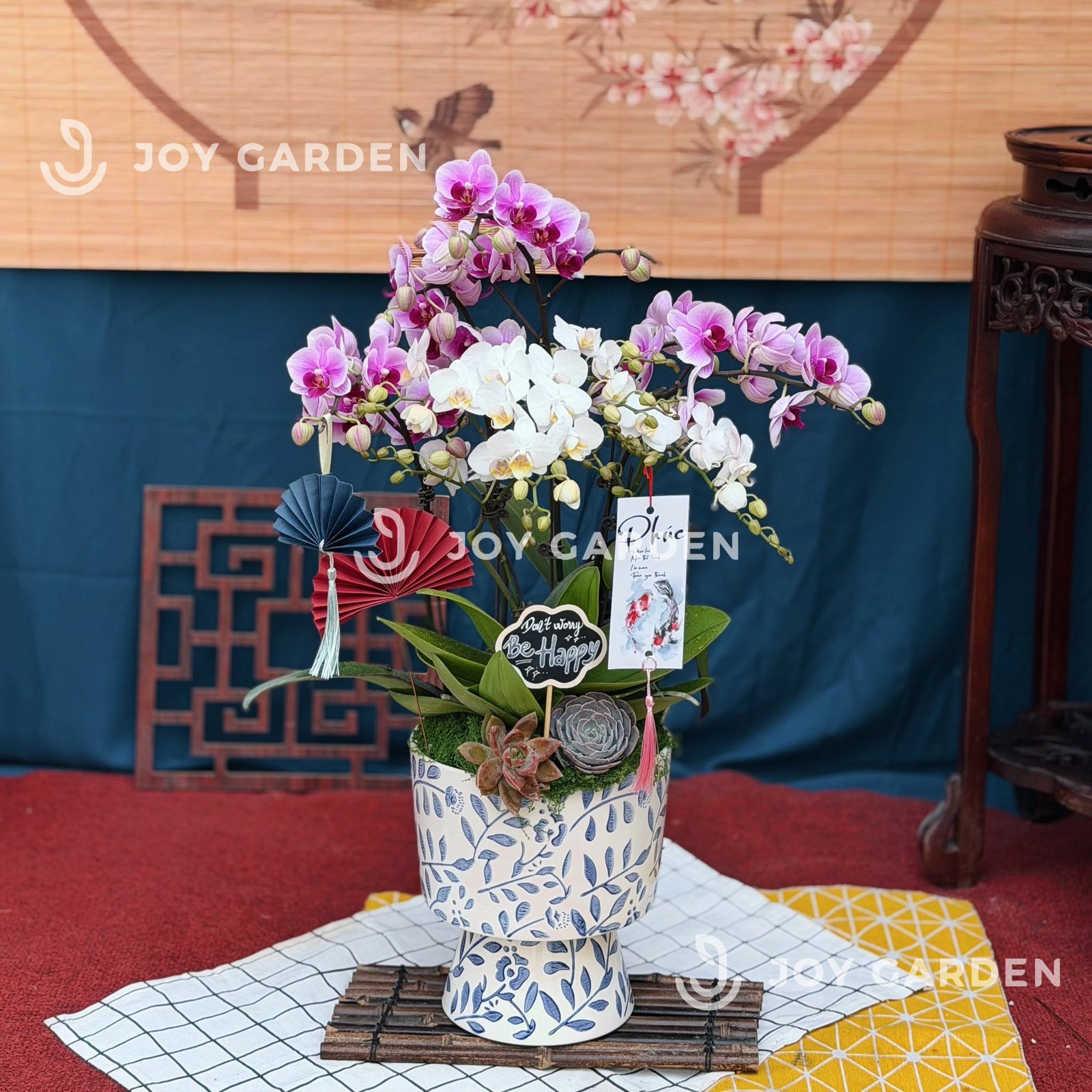 Lan hồ điệp Lam Nhã [lớn]