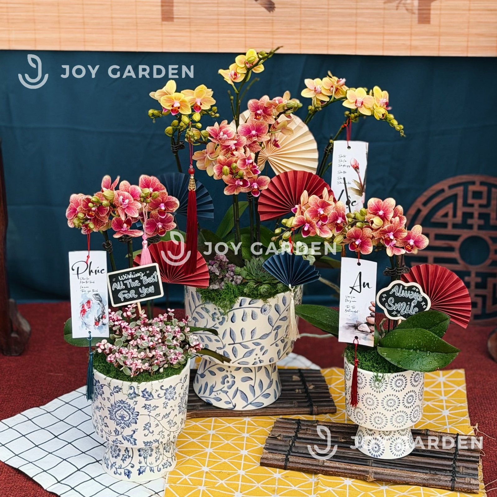 Lan hồ điệp Lam Nhã [lớn] 3