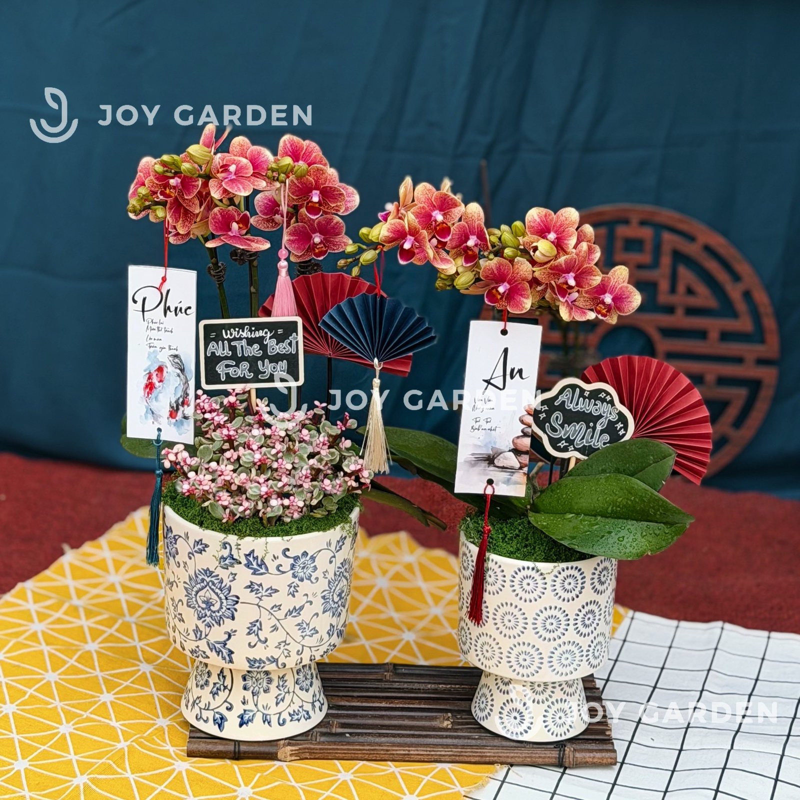 Lan hồ điệp Lam Nhã [nhỏ] 2