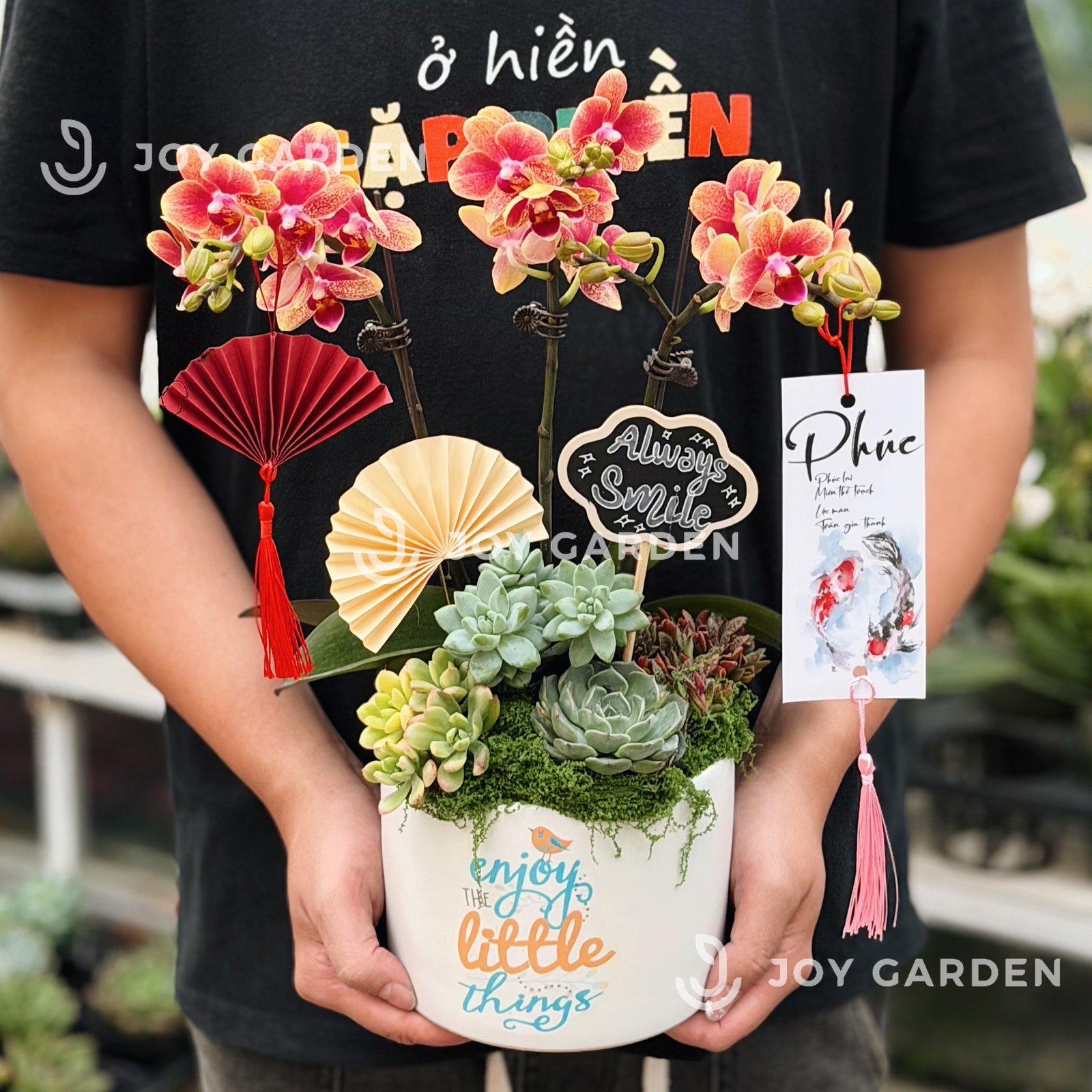 Lan hồ điệp - Cam Salmon [Chậu T15]