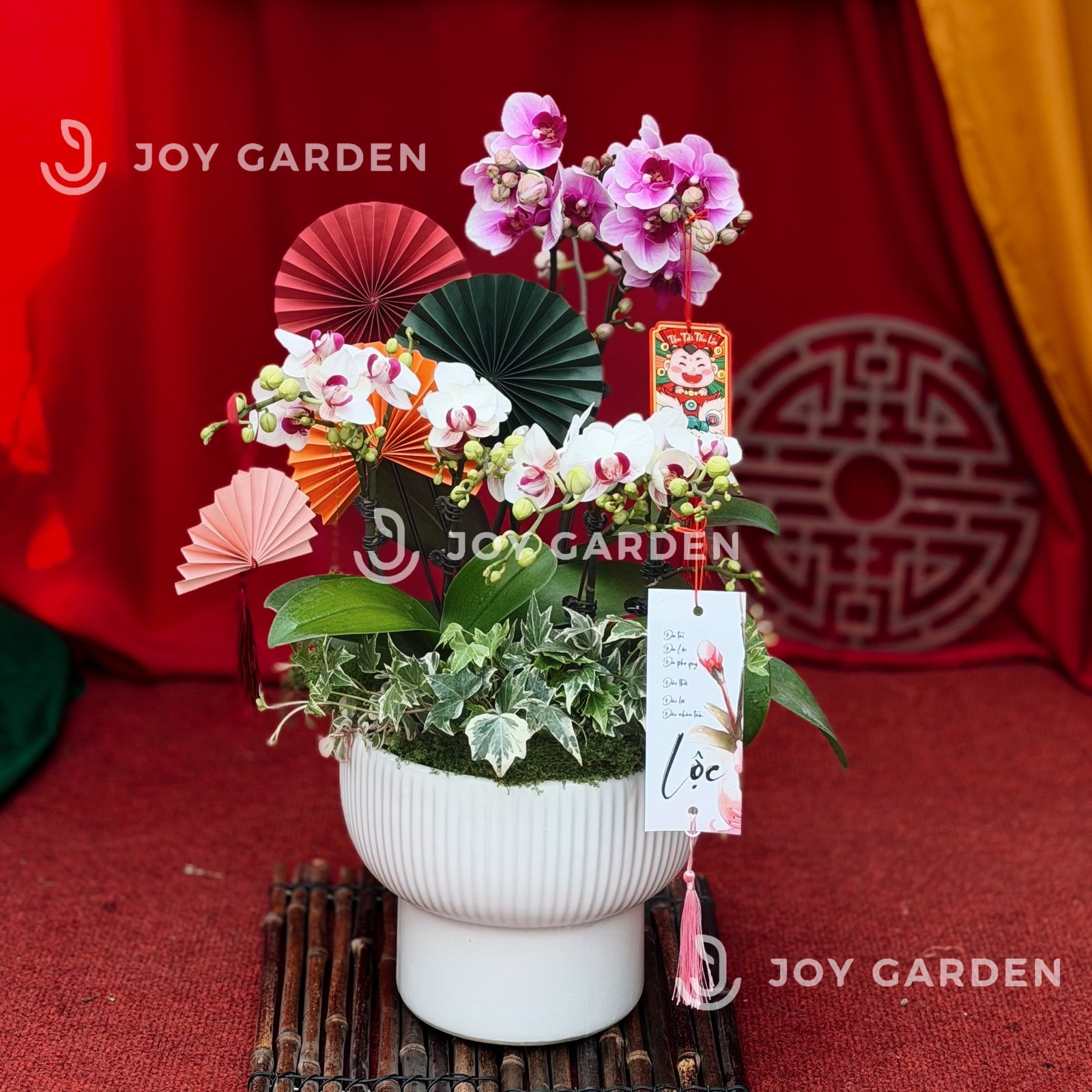 Lan hồ điệp Bắc Âu 3