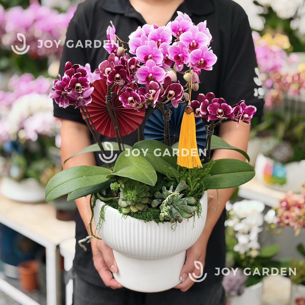 Lan hồ điệp Bắc Âu