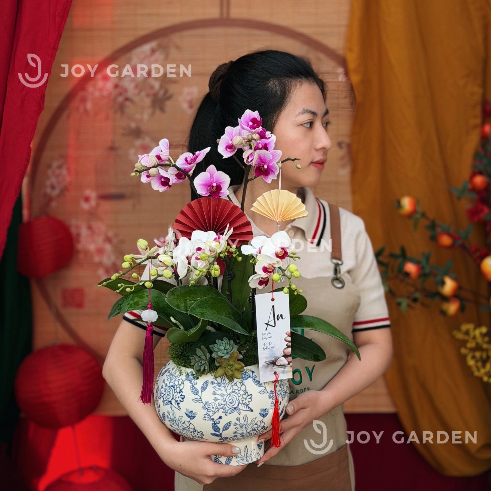 Lan hồ điệp Lam Phúc 2