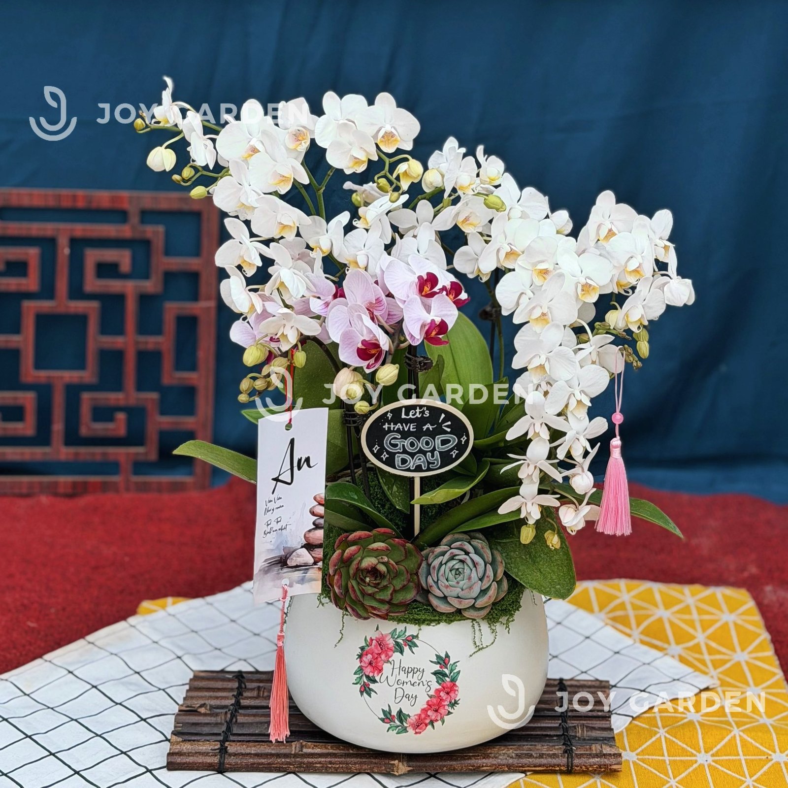 Lan hồ điệp [Chậu D18] 2