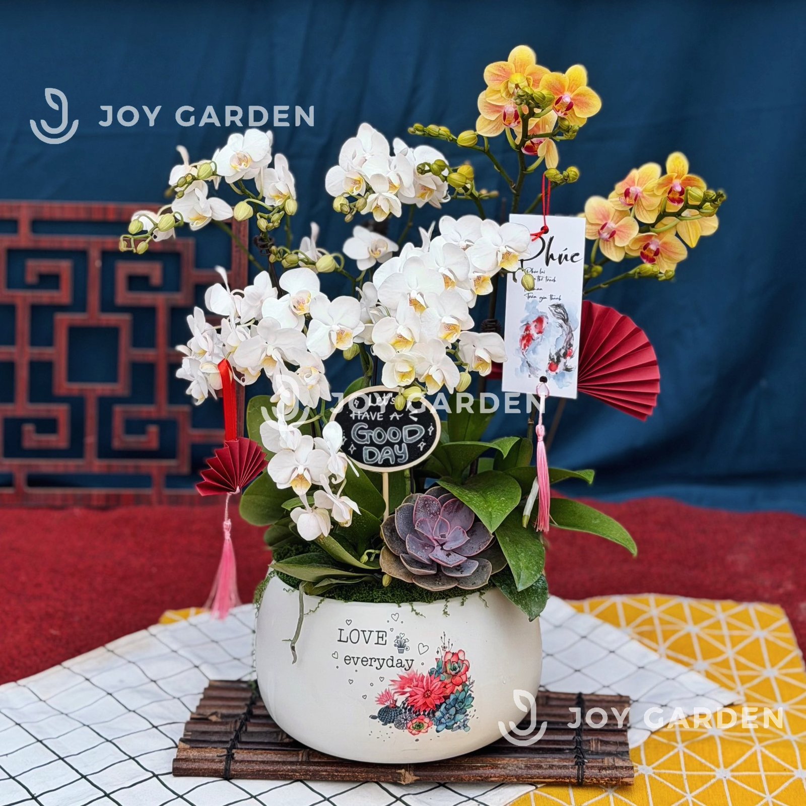 Lan hồ điệp [Chậu D18]