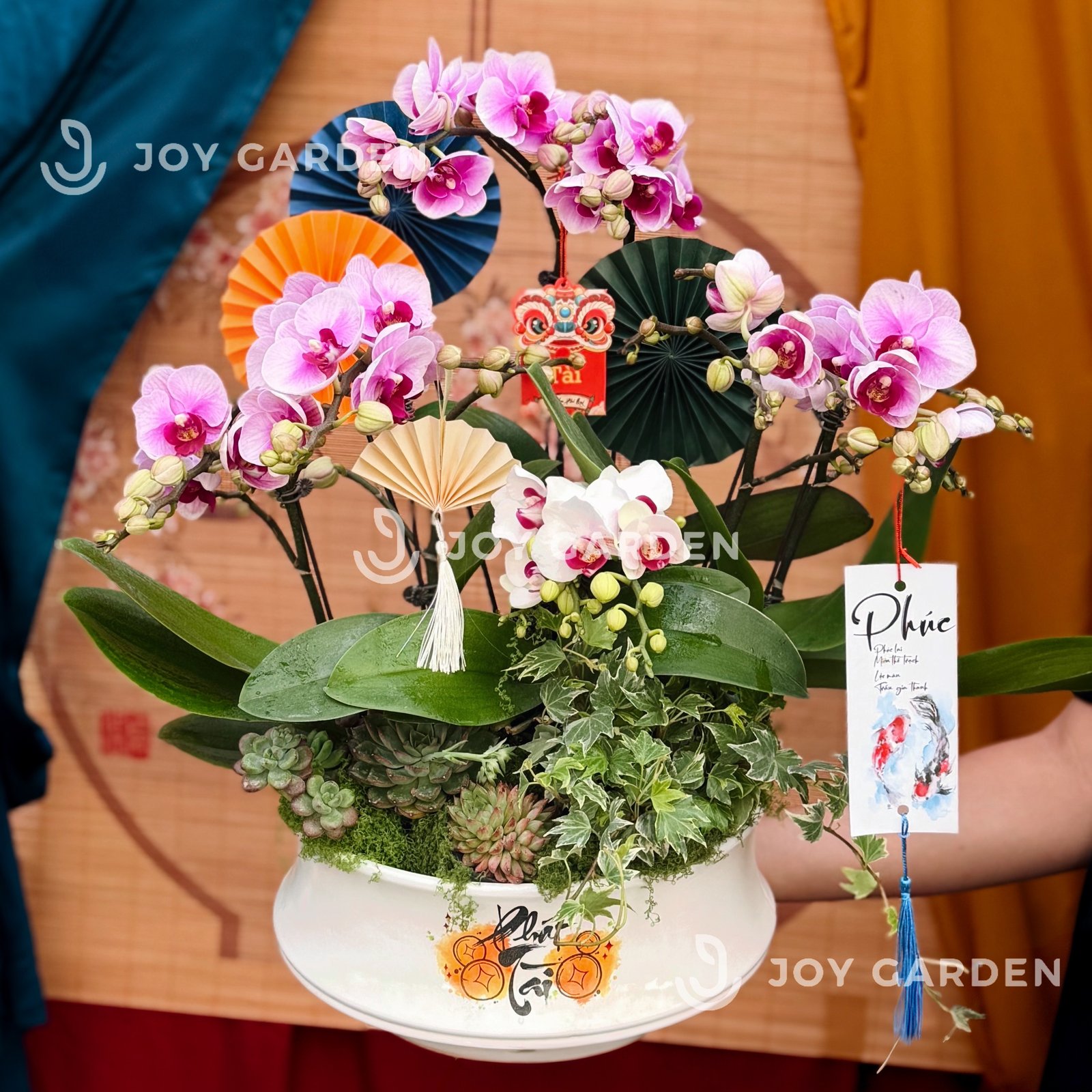 Lan hồ điệp Phát Tài [DN26] 2
