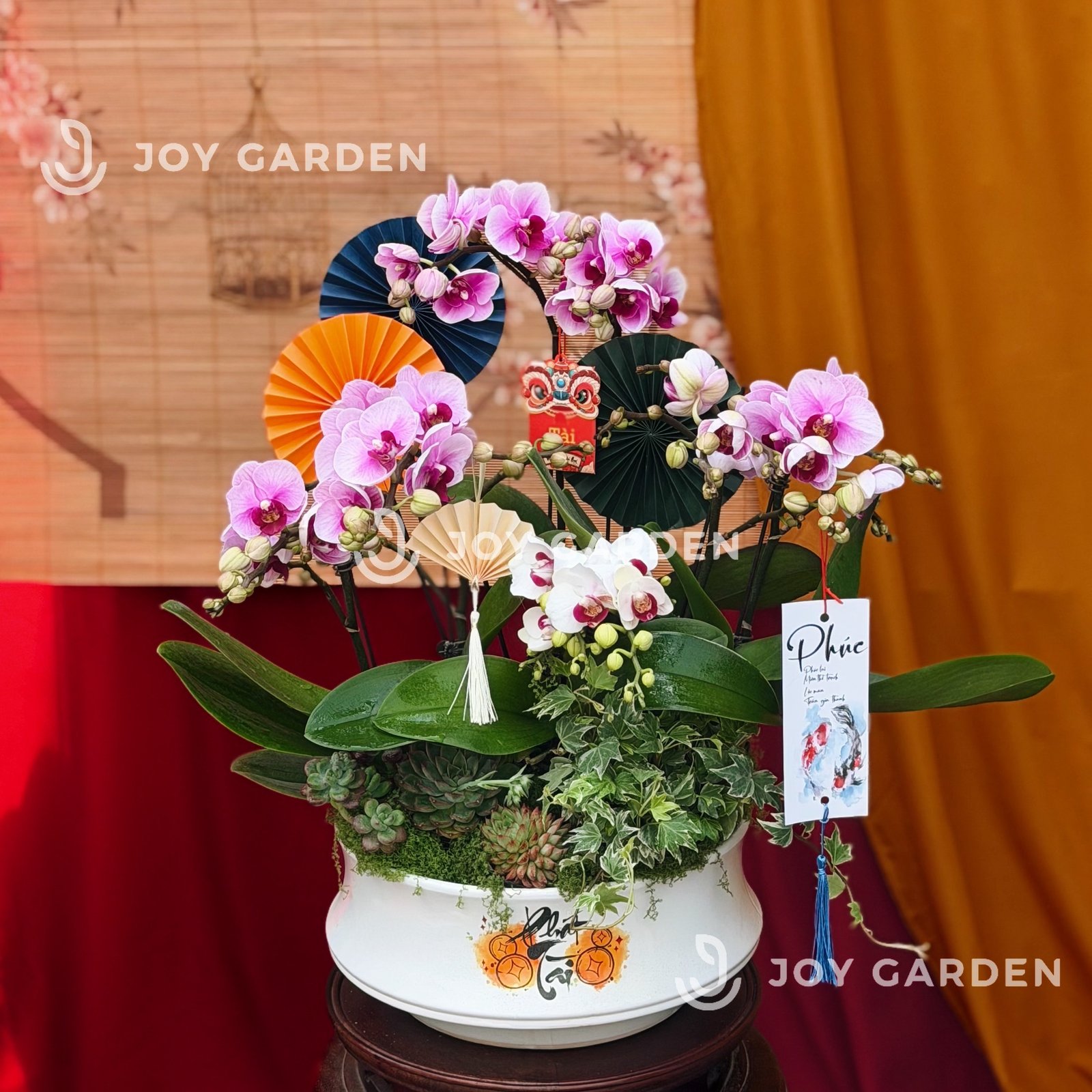 Lan hồ điệp Phát Tài [DN26]
