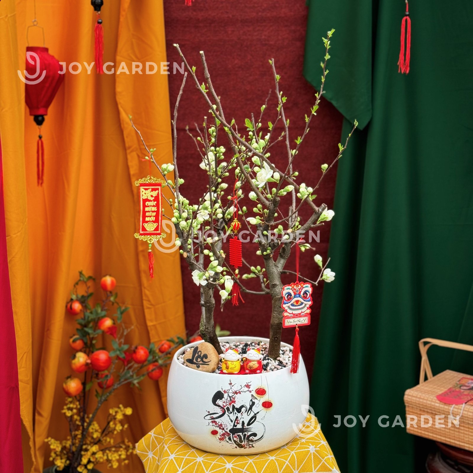 Mai trắng [Song Hỷ]