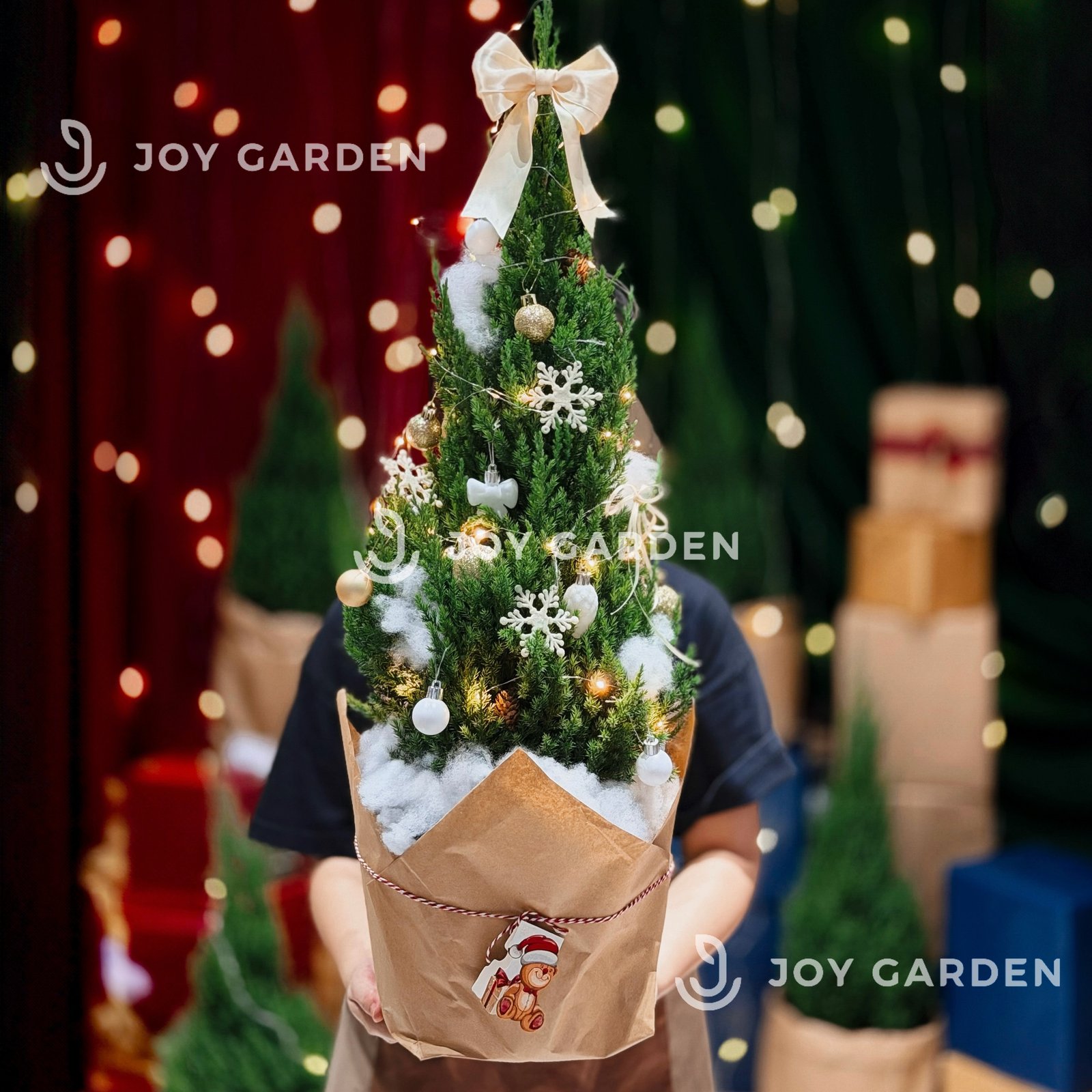 Set Tùng [Golden Noel] Size L