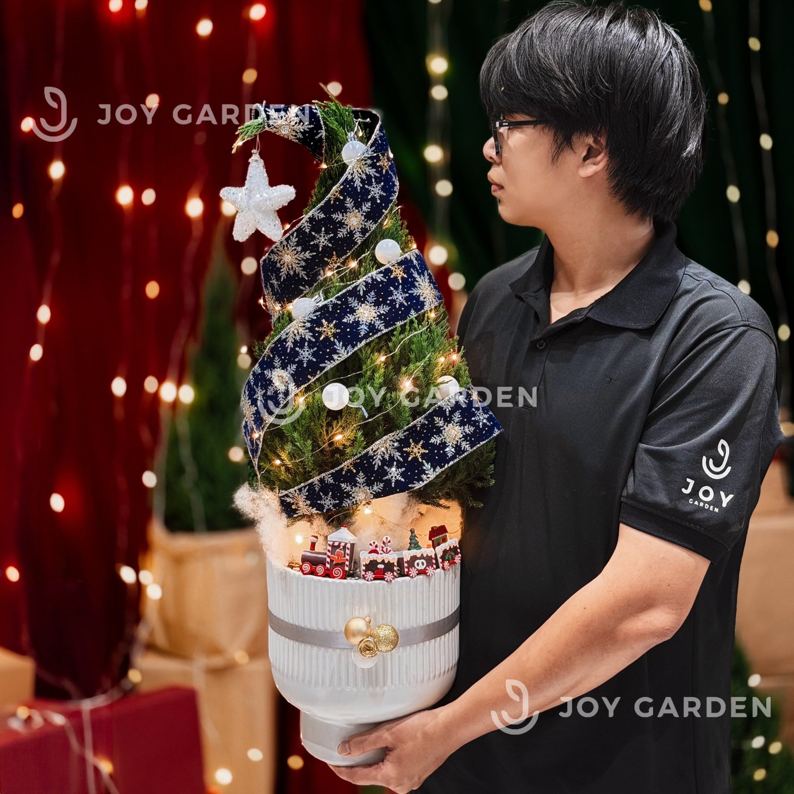 Set Tùng Bắc Âu [Tông Xanh Cobalt] size L 2