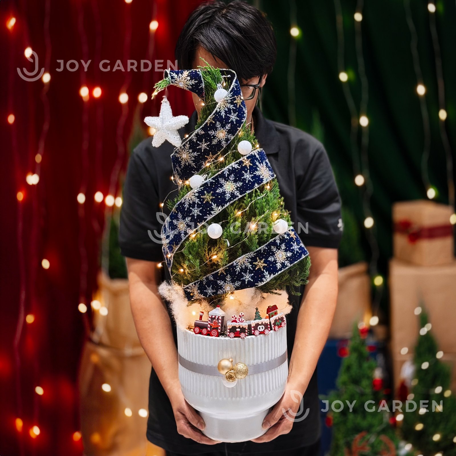 Set Tùng Bắc Âu [Tông Xanh Cobalt] size L