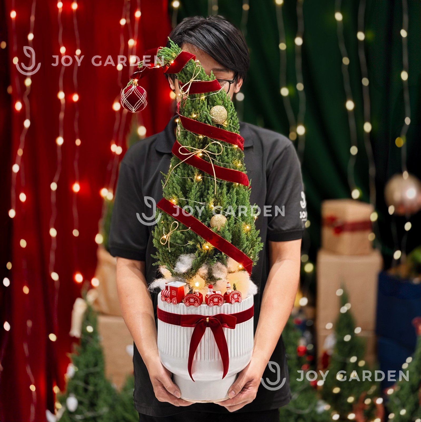 Set Tùng Bắc Âu [Tông Đỏ] size L 2