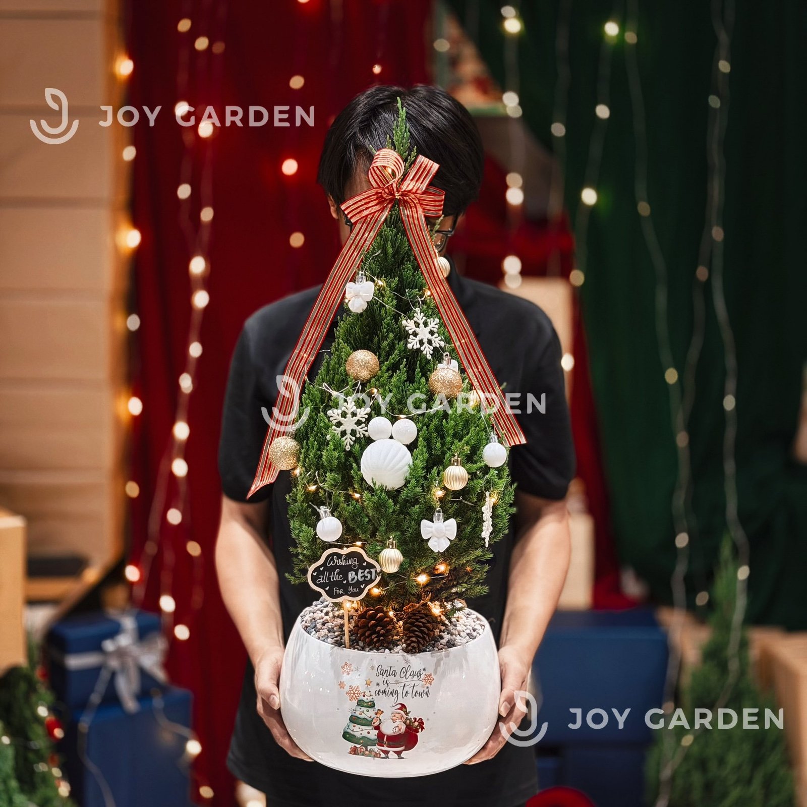 Set Tùng Santa [Tông Golden] Size L 2