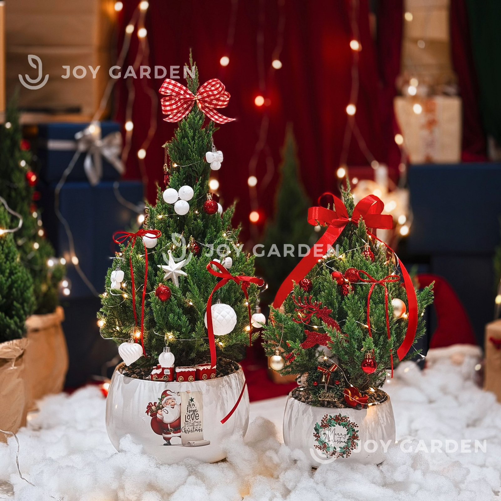 Set Tùng Santa [Tông Trắng Đỏ] Size L 2