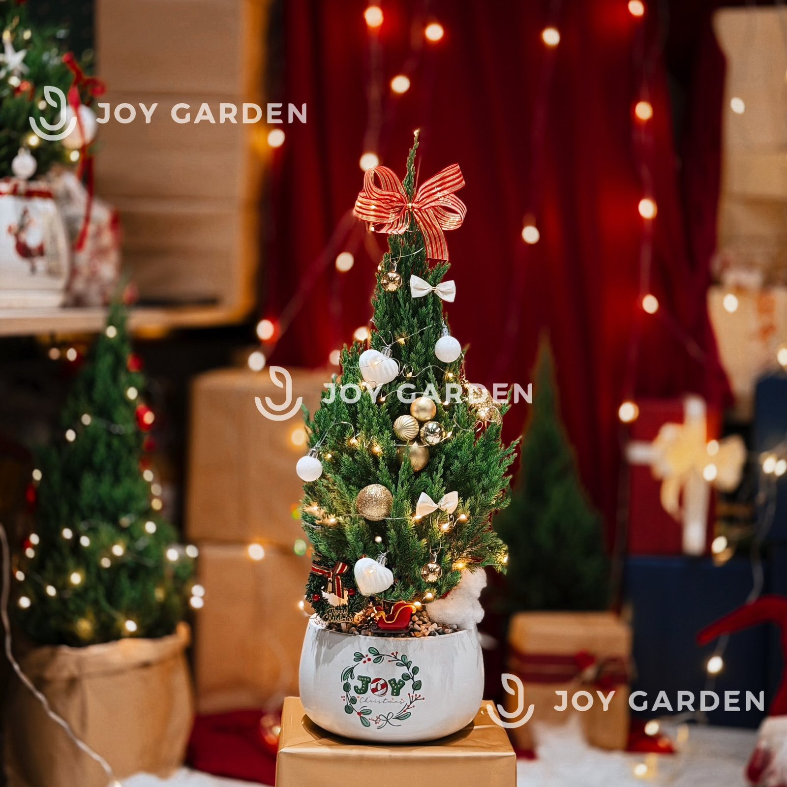 Set Tùng Joy Xmas [Tông Golden] Size M