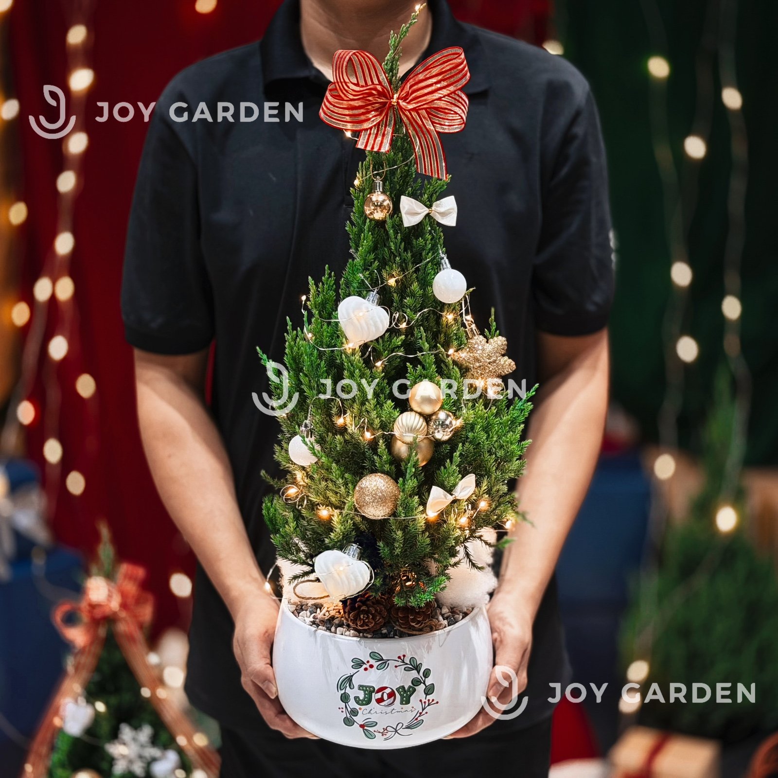 Set Tùng Joy Xmas [Tông Golden] Size M 2