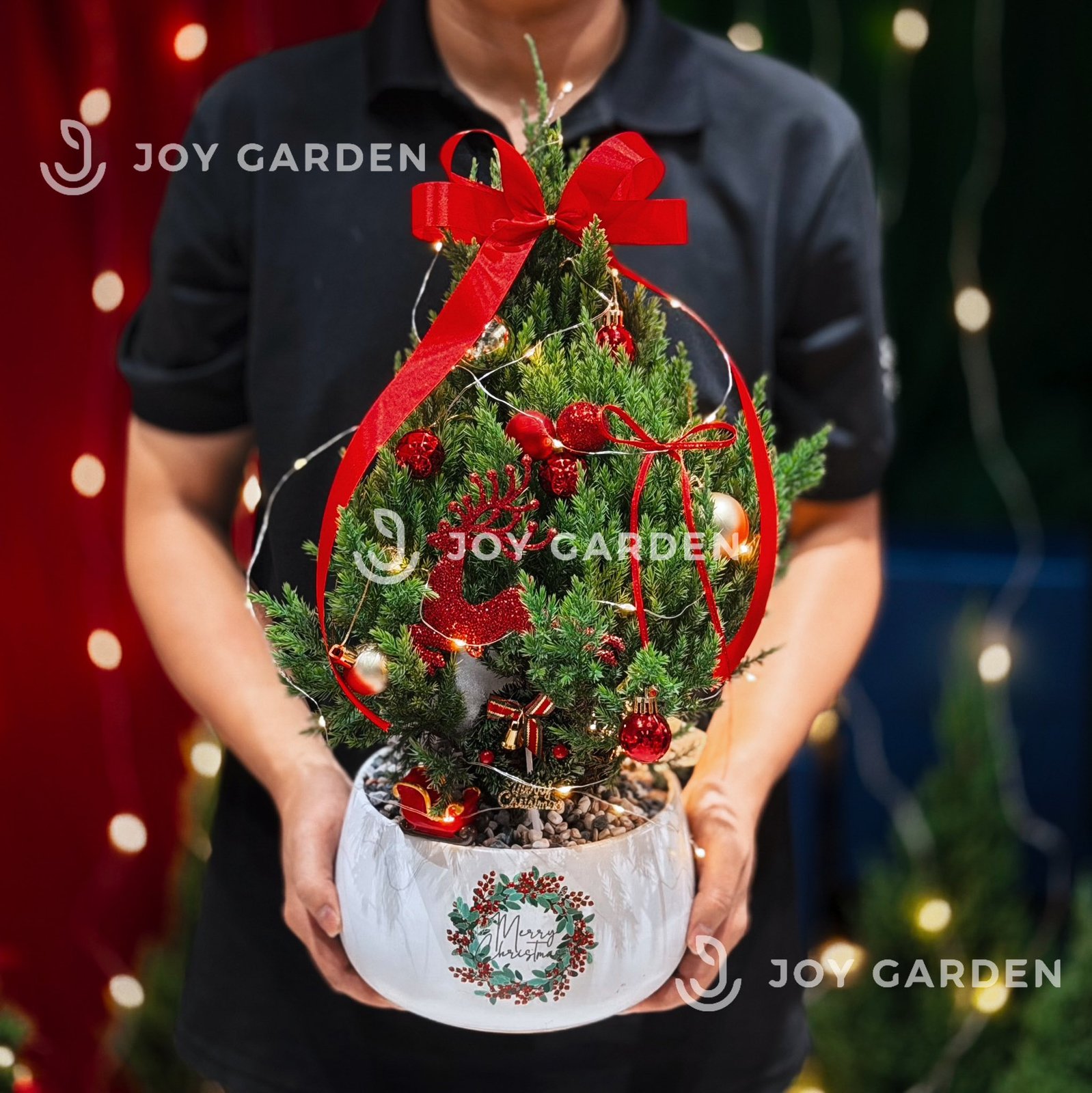 Set Tùng Merry Cherry [Tông Đỏ] Size M 3