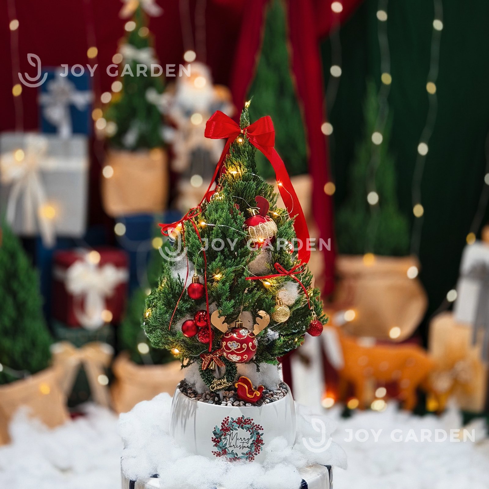 Set Tùng Merry Cherry [Tông Đỏ] Size M