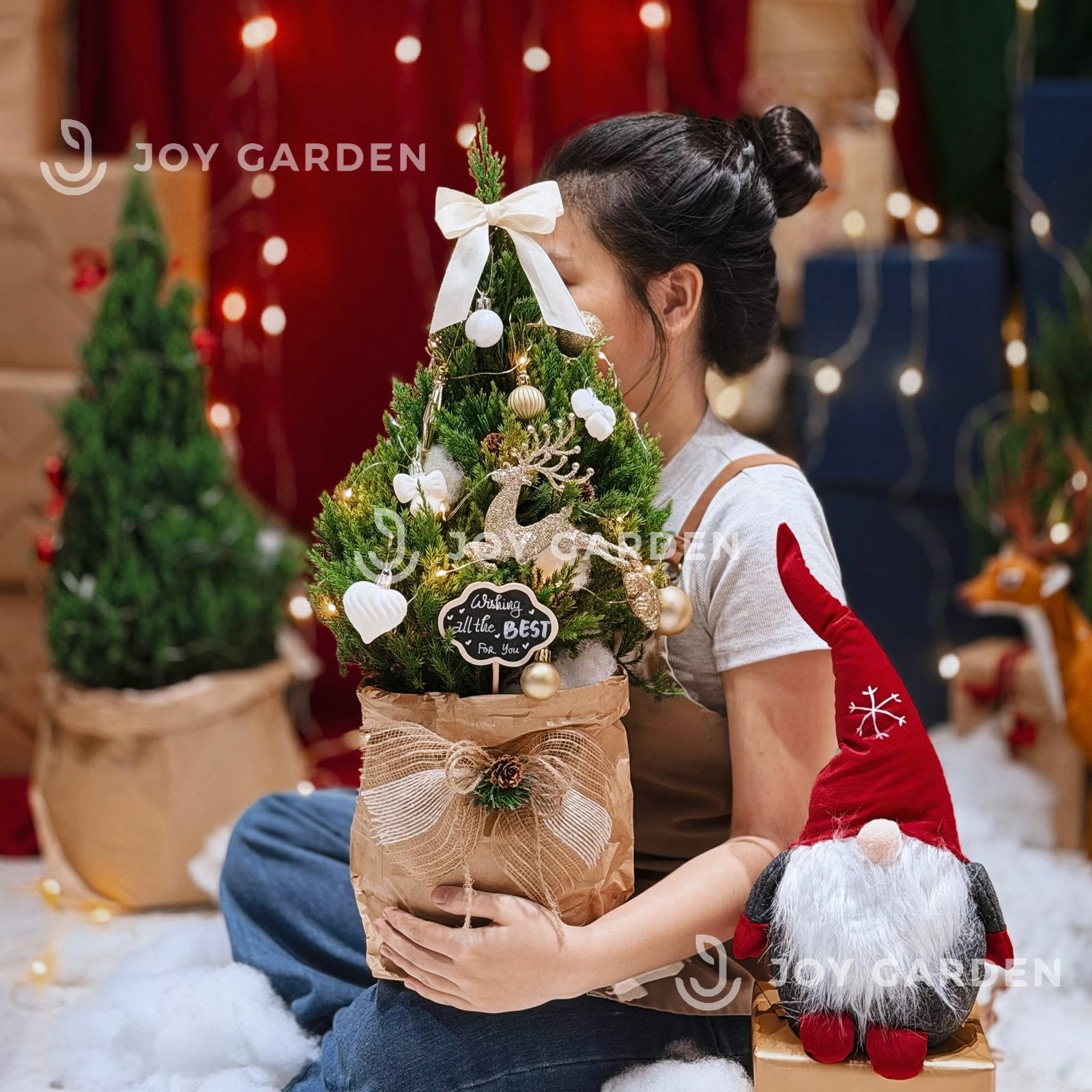 Set Tùng [Golden Noel] Size M 2