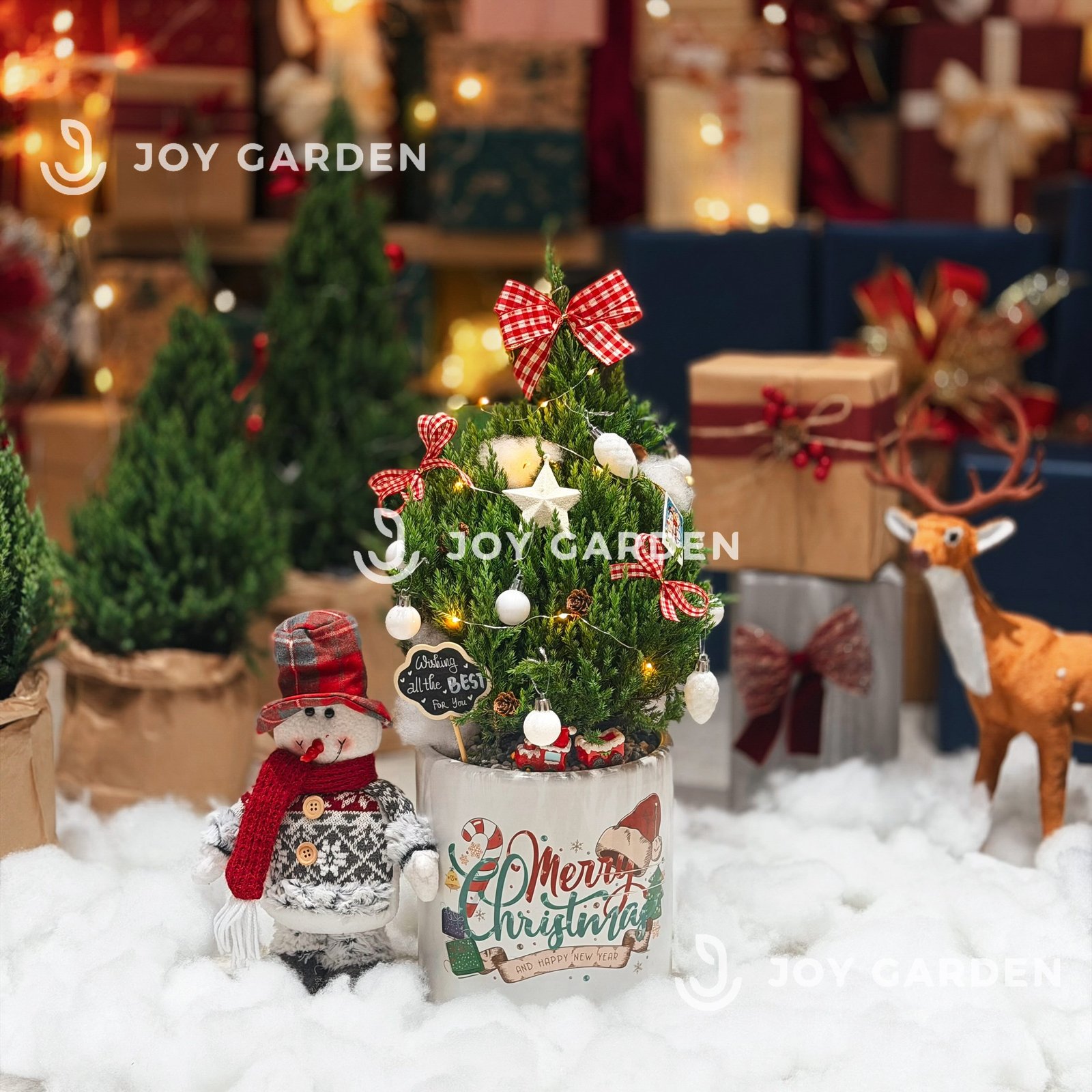 Set Tùng Merry [Tông Trắng Đỏ] Size M