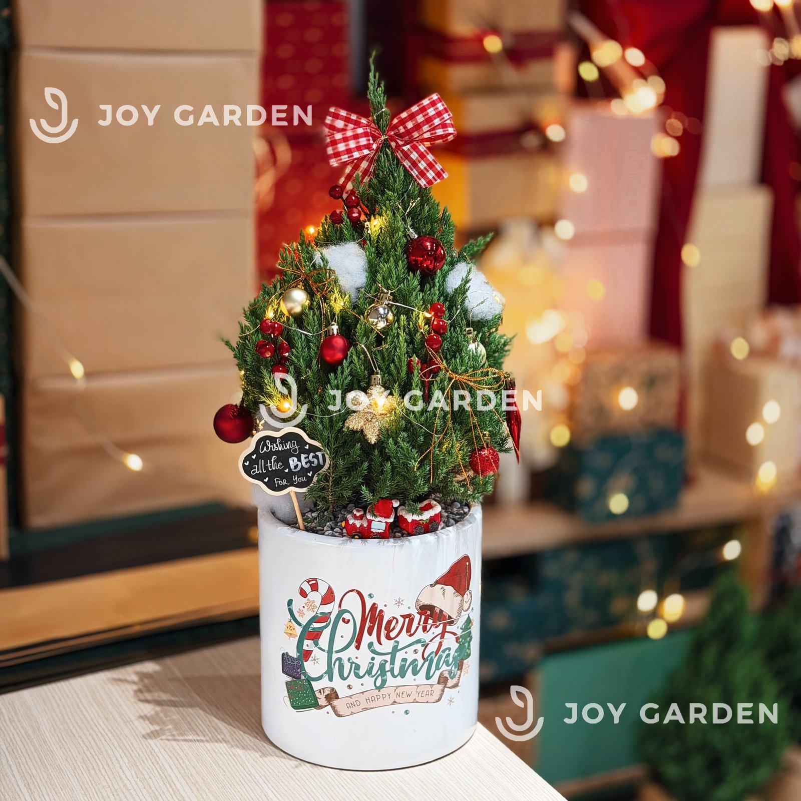 Set Tùng Merry [Tông Đỏ Vàng] Size M 2