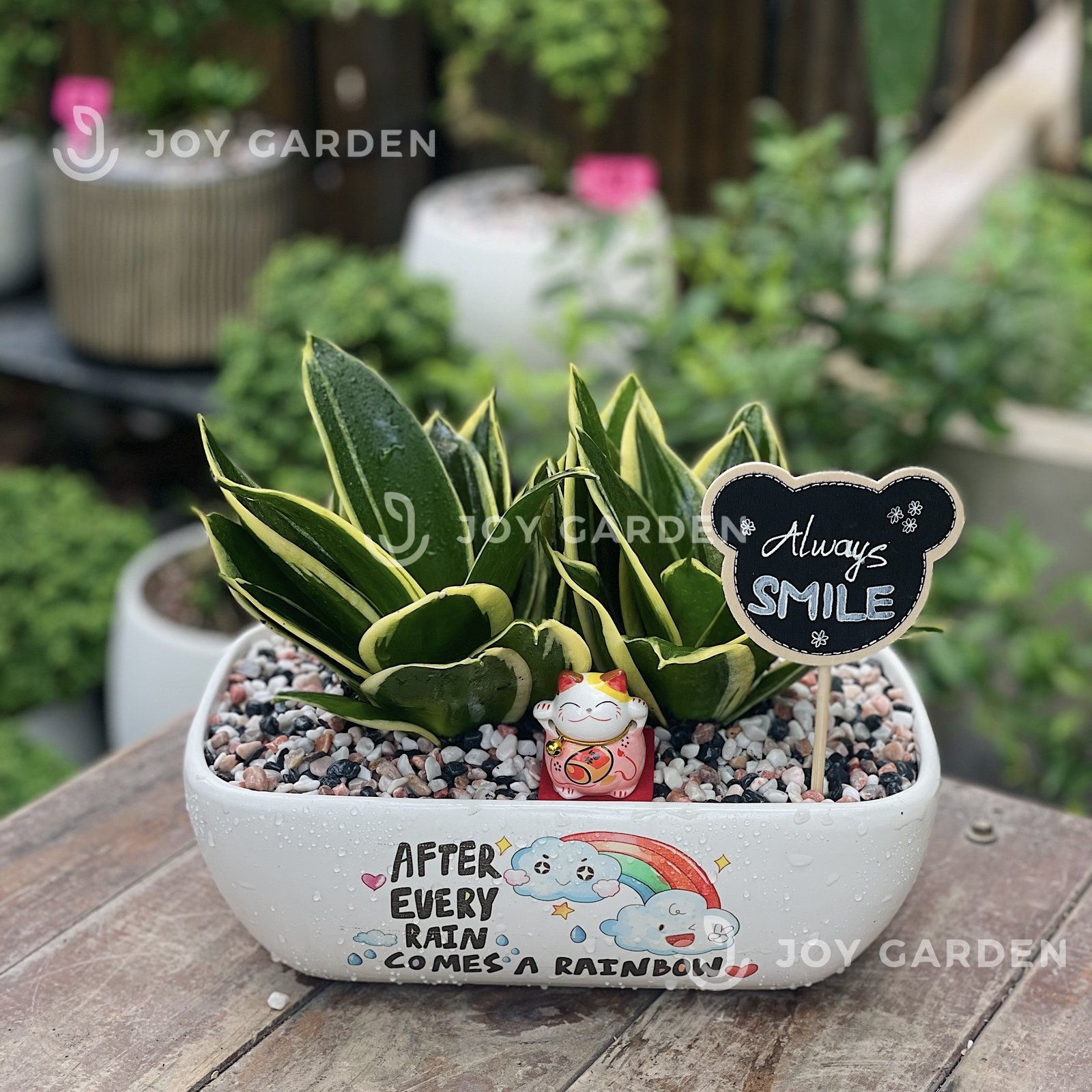Lưỡi hổ [Chậu thuyền]