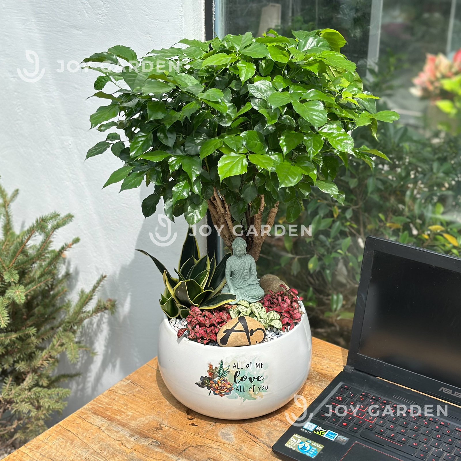Tiểu Cảnh Phúc An 2