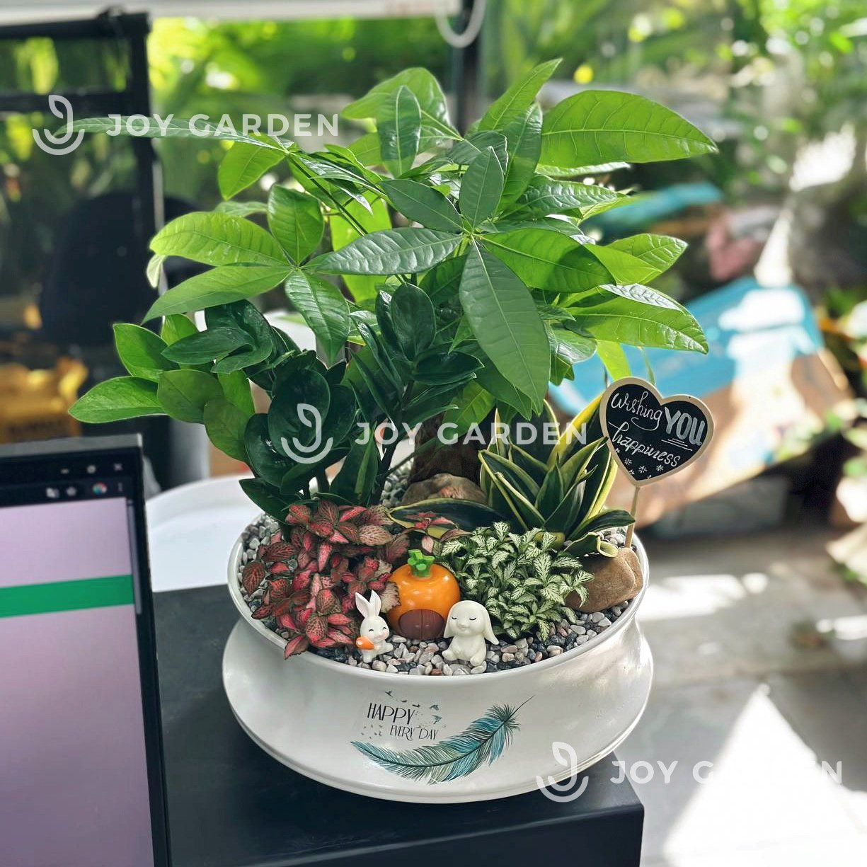 Tiểu cảnh Kim Tứ Quý 3