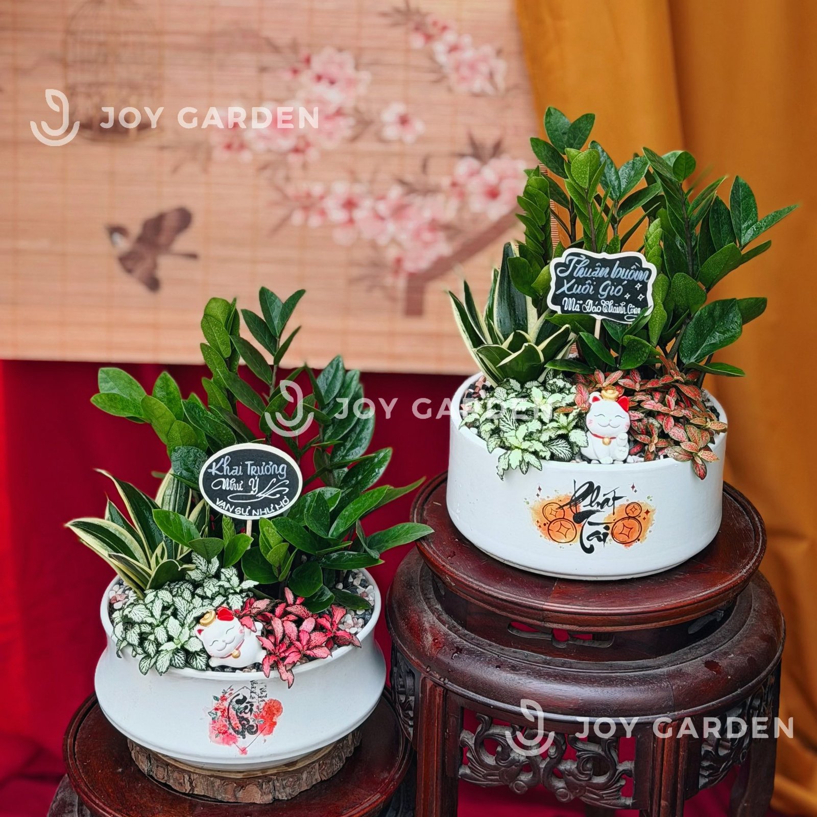 Tiểu cảnh Kim tiền Cát Tường 2