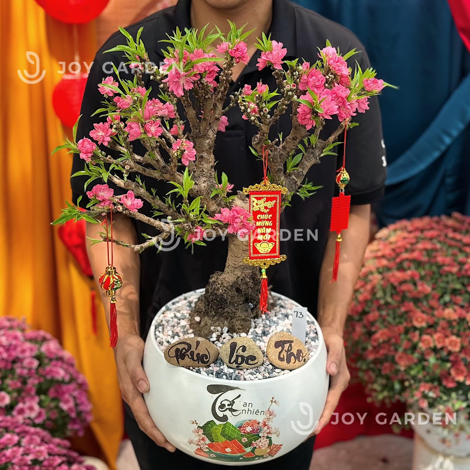 Đào Thất Thốn [D24] 3
