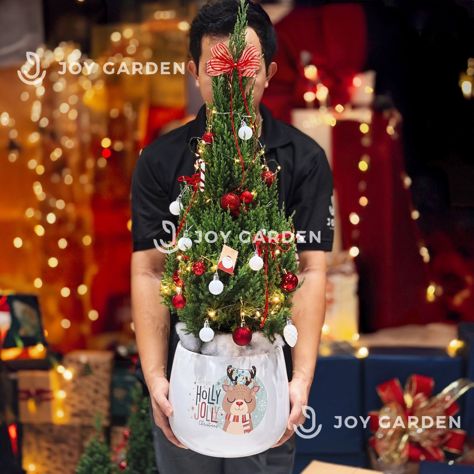 Set Tùng Holly Jolly [Tông Đỏ Trắng] Size L