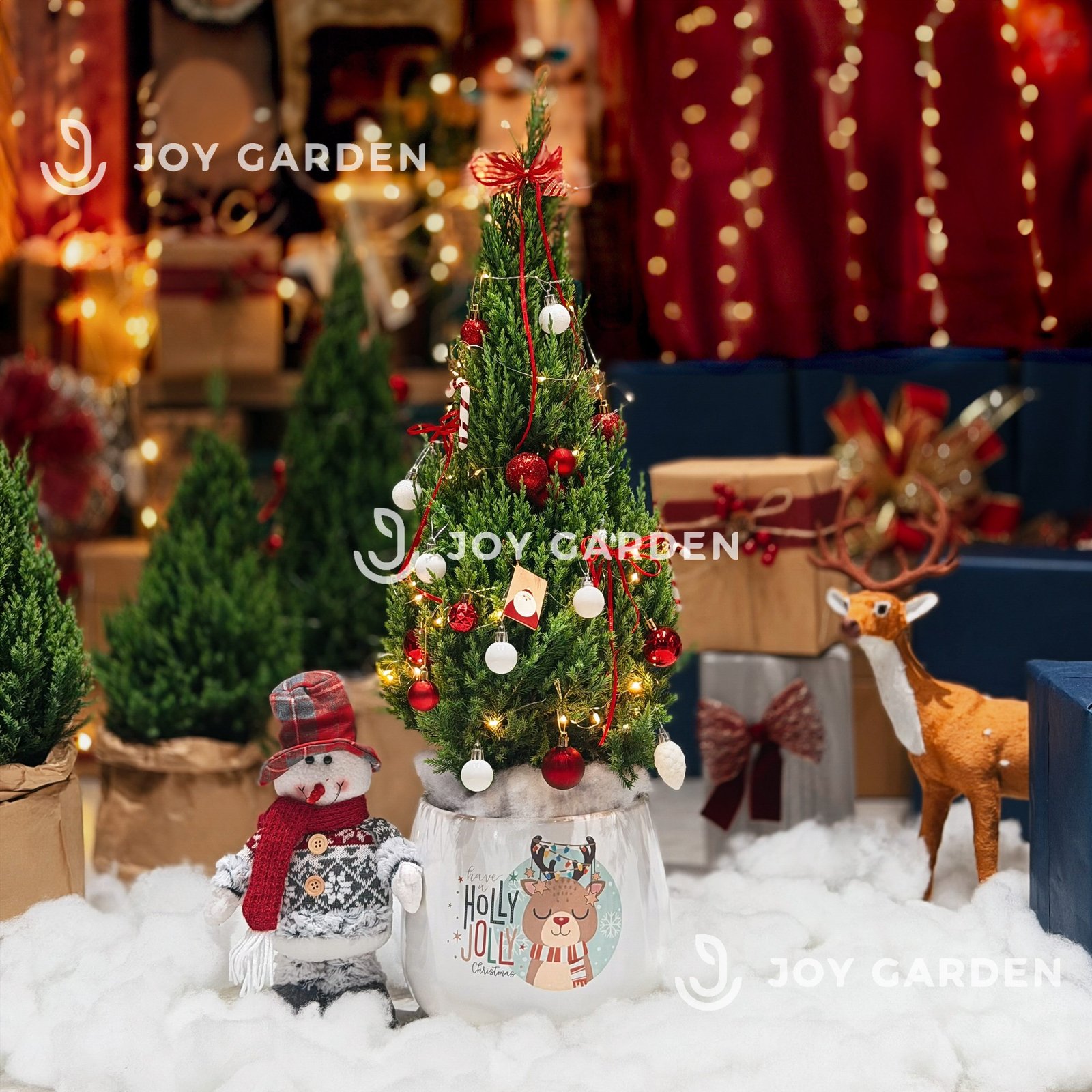 Set Tùng Holly Jolly [Tông Đỏ Trắng] Size L 2