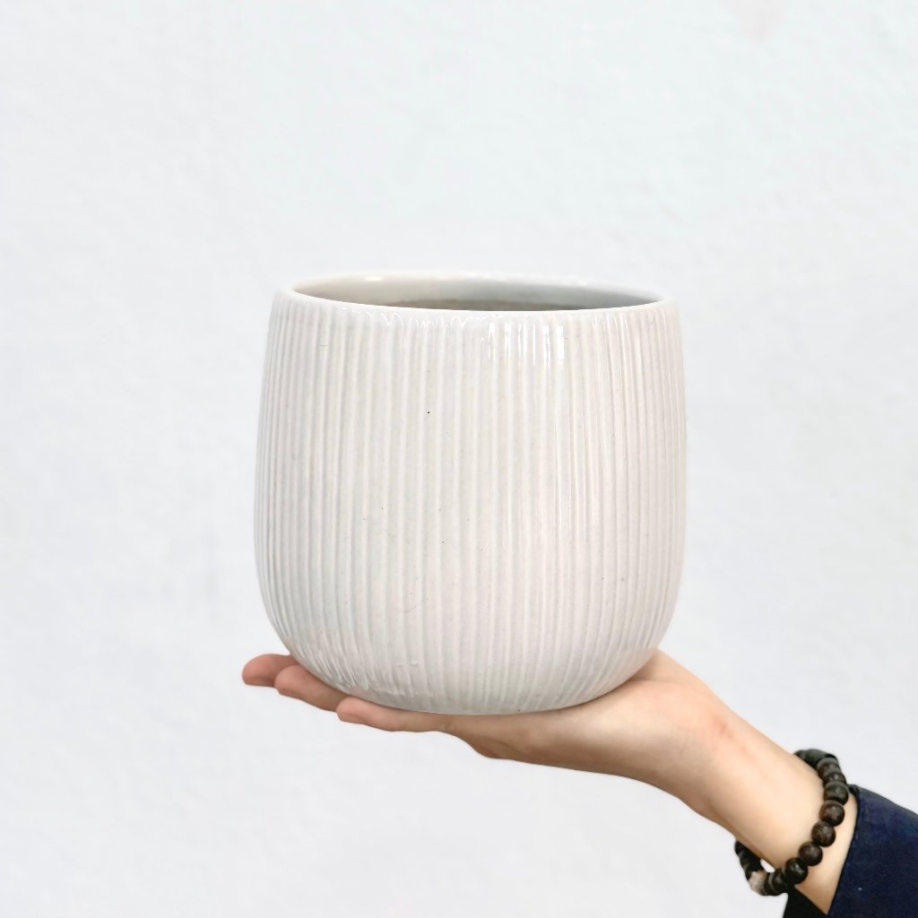 Chậu Lê Sọc màu trắng Pastel cực xinh - chậu trồng sen đá, xương rồng và cây trong nhà | Joy Garden 3