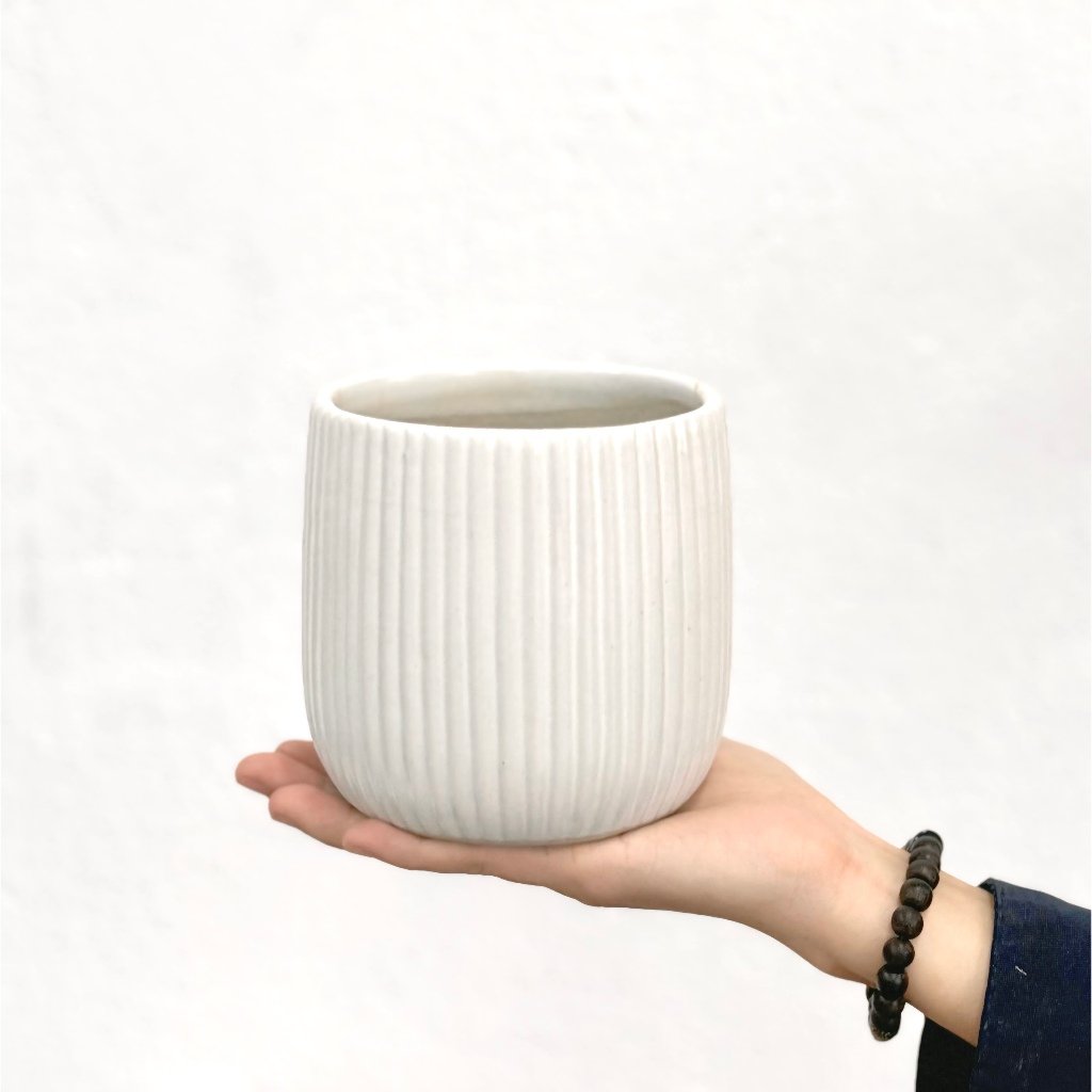 Chậu Lê Sọc màu trắng Pastel cực xinh - chậu trồng sen đá, xương rồng và cây trong nhà | Joy Garden 2