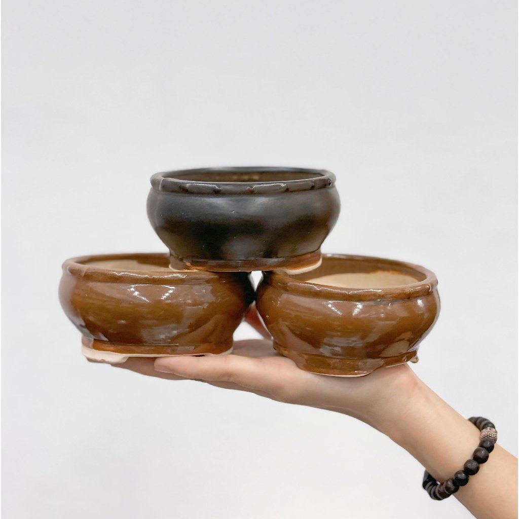 Ang bo cổ điển mini - Chậu men bát tràng - Trồng cây gì cũng rất là nghệ thuật | Joy Garden