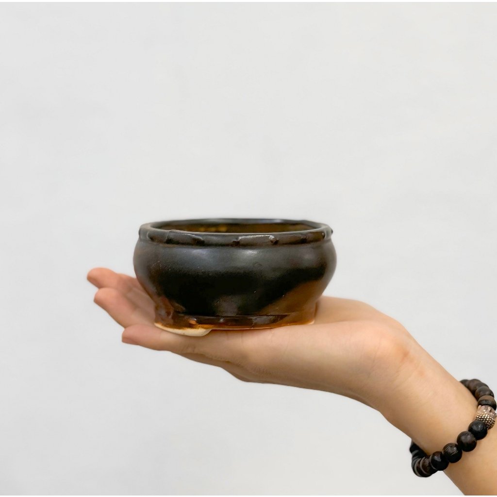 Ang bo cổ điển mini - Chậu men bát tràng - Trồng cây gì cũng rất là nghệ thuật | Joy Garden 2