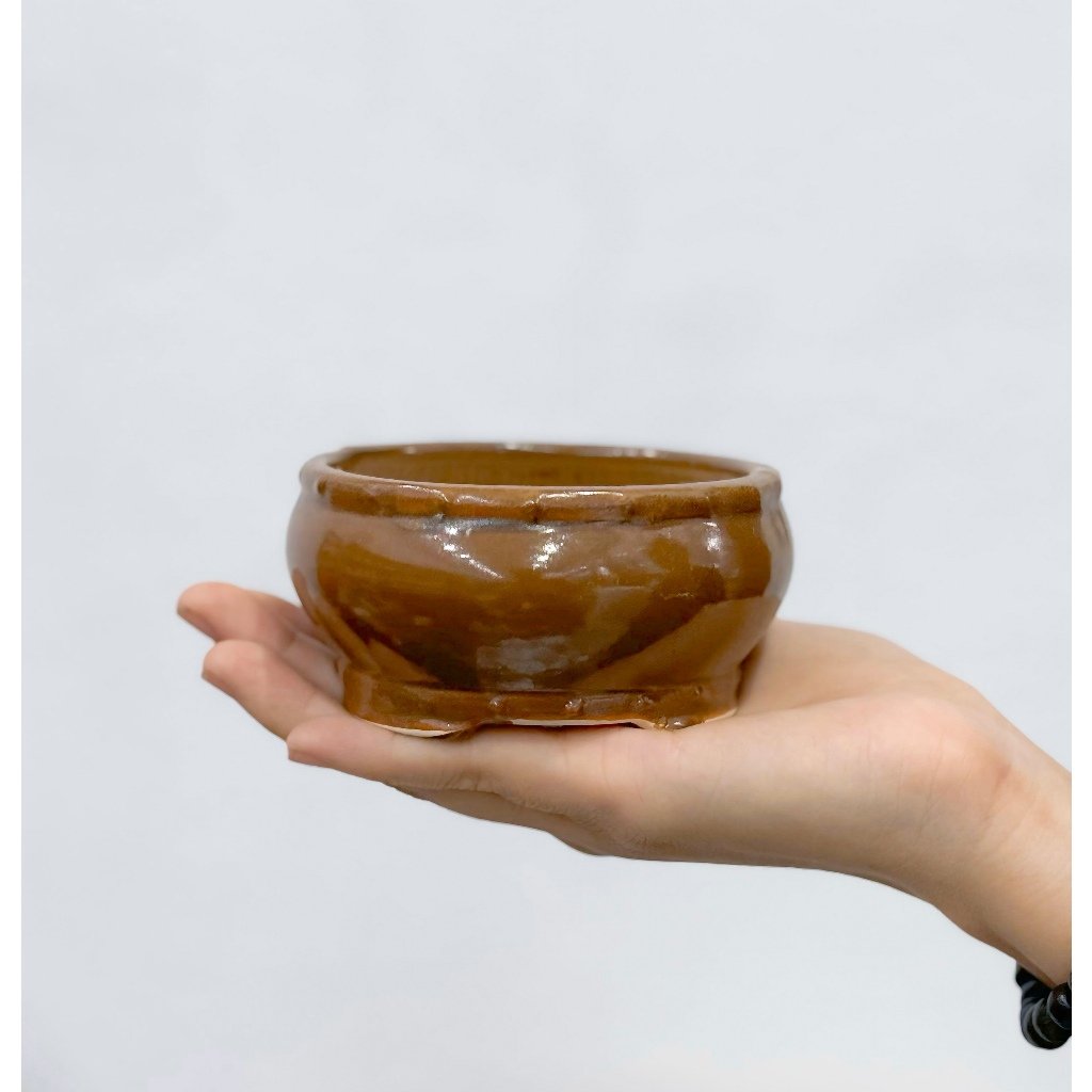 Ang bo cổ điển mini - Chậu men bát tràng - Trồng cây gì cũng rất là nghệ thuật | Joy Garden 3